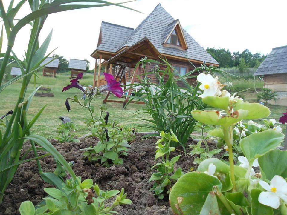 Casele De Vacanta Luca & Vicentiu Botiza Exterior foto